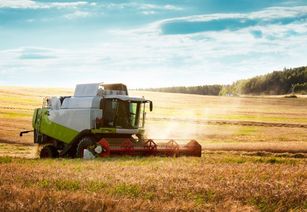 农业养殖易忽视：饲料营养、疫病防控、环境维护