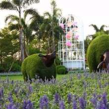 一、 武汉佛甲草屋顶绿化价格大揭秘