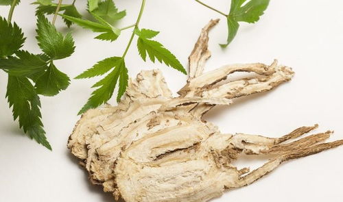 终极解密：古法鉴别七字诀