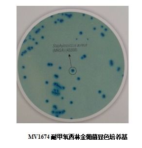 二氧化氯：神秘的消毒大师