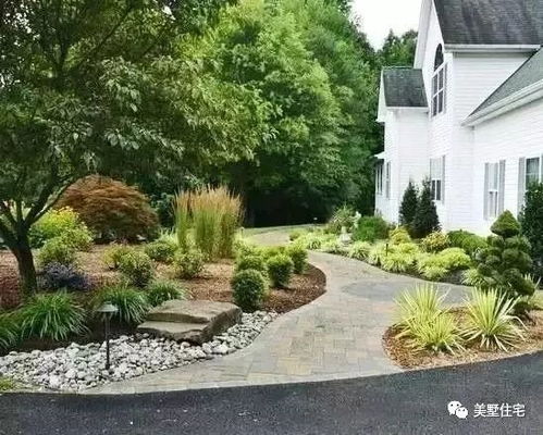 排水良好， 梅花不积水