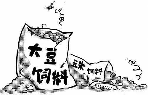 饲料原料价格为何持续飙升？三大推手究竟是什么？