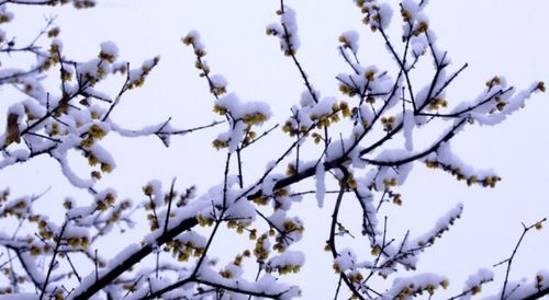 第一步：选地与挖坑