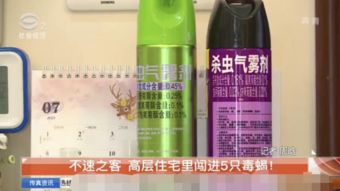 我的蝎子养殖经验