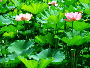 注意事项要牢记