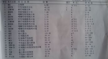 使用方法大公开