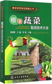 生菜的种植技巧