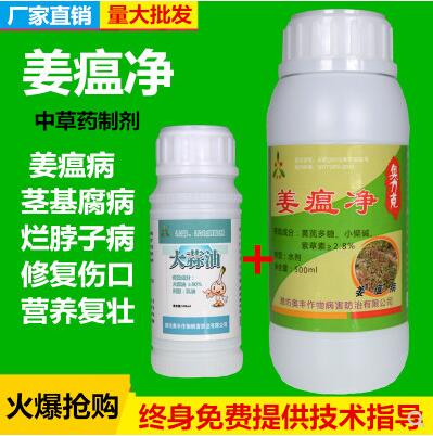 环保杀菌剂， 大姜种植的好帮手