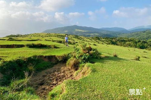 草原生态的重要性