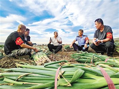 秋收季：揭秘秋季水果的丰收盛宴