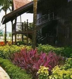 色彩的分类，就像是个五彩斑斓的宝盒