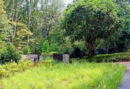 植物配置的实用技巧