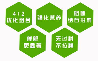 开饲料店利润高不高？嘉盛饲料质量如何？