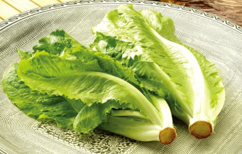 野苋菜，一种常见蔬菜