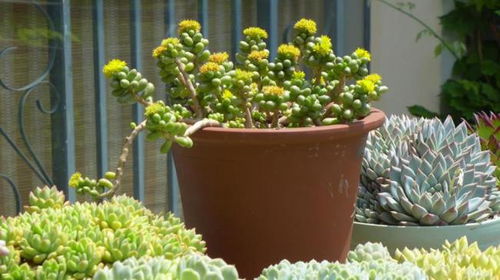 三大常见误区先排雷