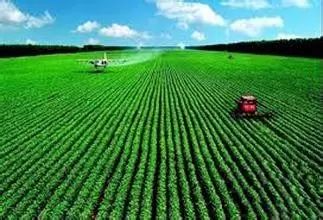 精恶唑禾草灵， 得加添加剂