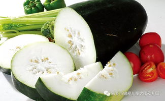 冬瓜籽：花卉养护中的神奇成分，提升植物活力与美观度