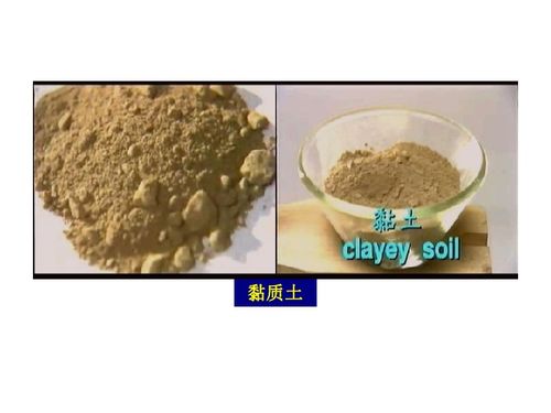 后来啊，那可是让人惊喜的！