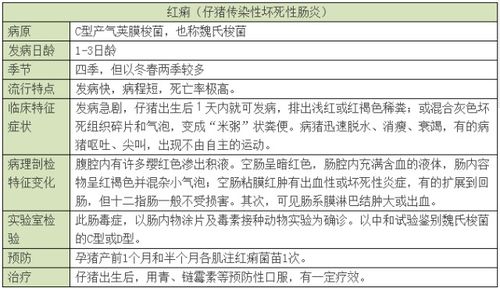 母猪流产病因病机解析，临床特征如何识别