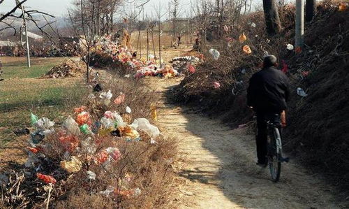 村支书推荐的种植方法
