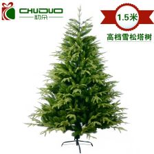 6米雪松，品相与价格的关系