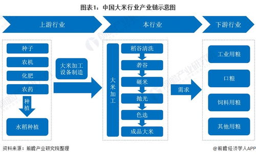 价格竞争与市场增长潜力