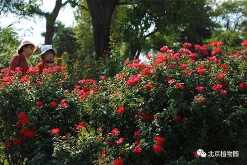 在青城山众多各具特色的民宿中,有一间Zui近新开的geng加别...
