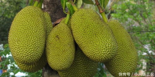 药物使用时间及注意事项