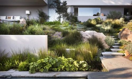 园艺的乐趣：不仅仅是种植