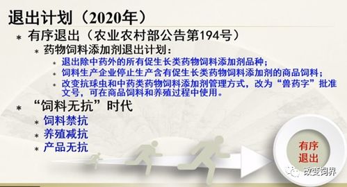 2025年度饲料行业会议中，饲料政策解读和安全标准更新部分有哪些具体内容？