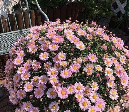 浇水时间，决定生死