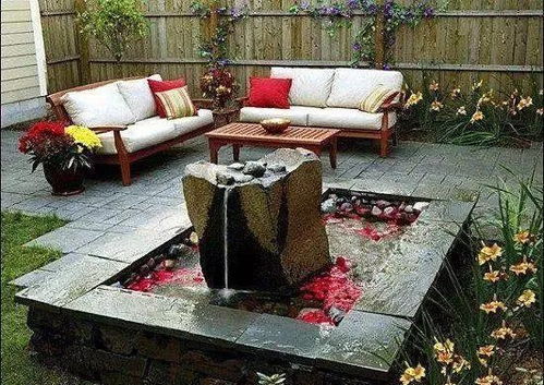 资深花友的建议，认准藤本月季就足够了