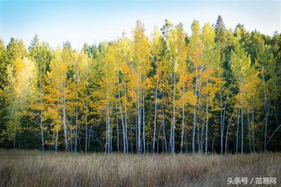 喷药防范， 防患未然