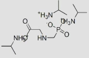 草甘膦异丙胺盐能除哪些杂草？它的作用机理是什么？