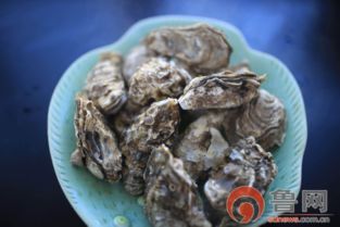 山东乳山牡蛎苗种减产，导致成品价格大幅上涨