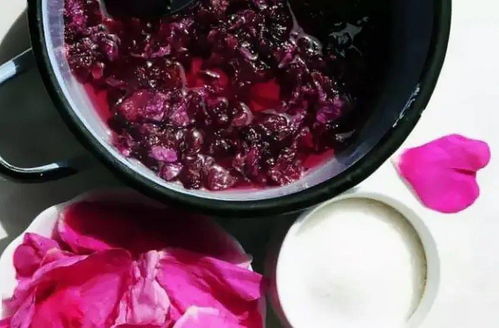 月季品种， 各具特色