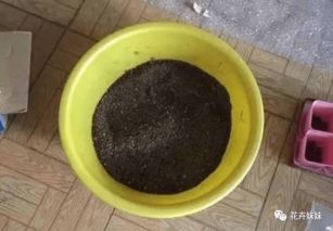 多菌灵使用技巧，如何正确配比