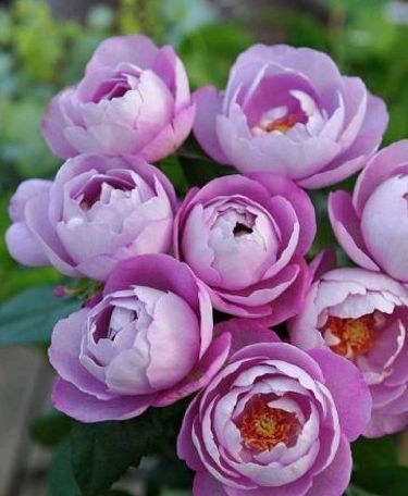 种植技巧，你学会了吗？