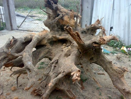 划圈挖沟， 步步为营