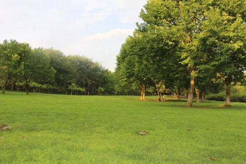 赣江市民公园，四季如春的绿意盎然