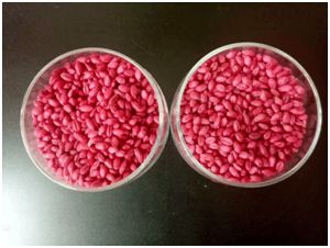 农药的毒性和环境影响