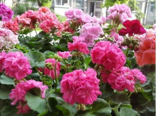 养护小贴士，不嫩忘