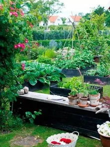 菜园里的隐形杀手：揭秘那些悄悄破坏你的菜地植物