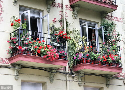 选择合适的移栽时间