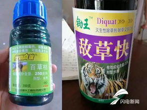 那么多除草剂，哪个好呢？