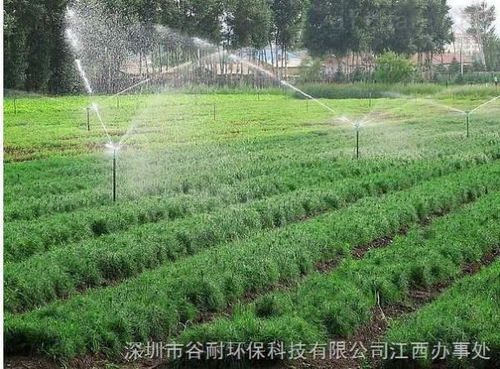 百菌清是个啥？