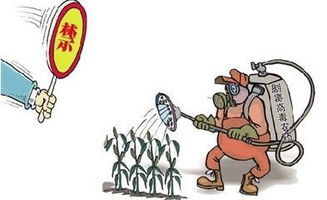 农药使用前的准备