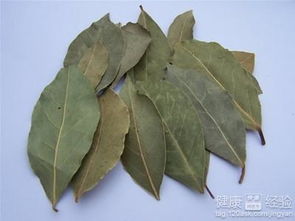 香叶是月桂树的叶子，它到底是什么树的叶子呢