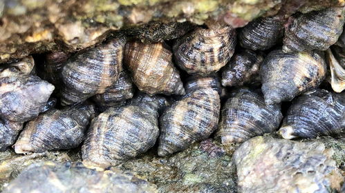 农药种类多，选对是关键