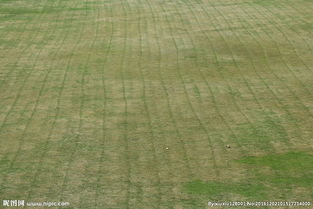 选地整地， 平整如镜